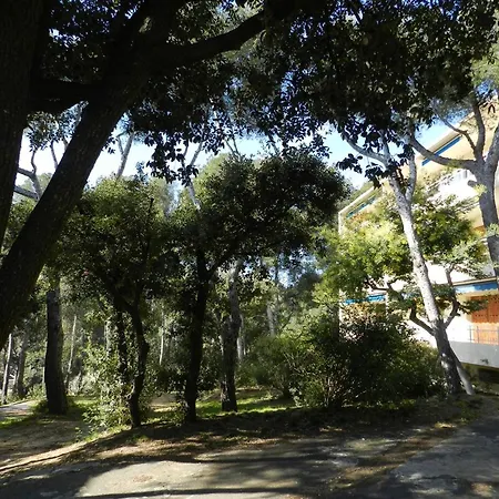 3 Pieces, Terrasse, 4 Pers. - Fr-1-251-890 Апартаменты